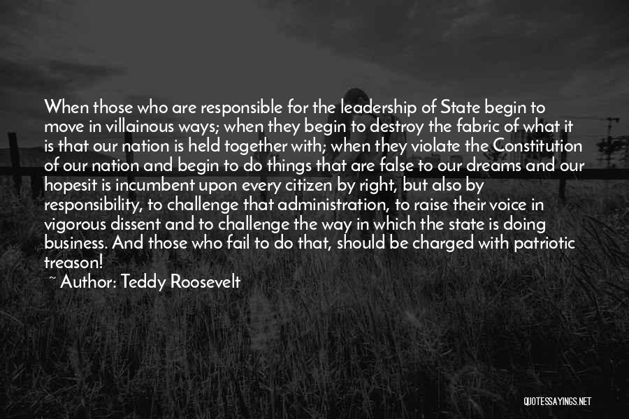 Voice Of Democracy Quotes By Teddy Roosevelt