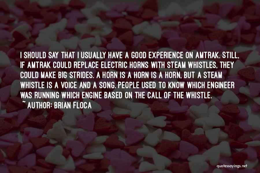 Voice Of Experience Quotes By Brian Floca