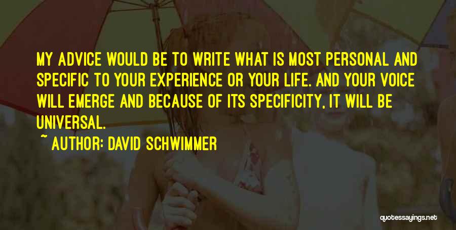 Voice Of Experience Quotes By David Schwimmer