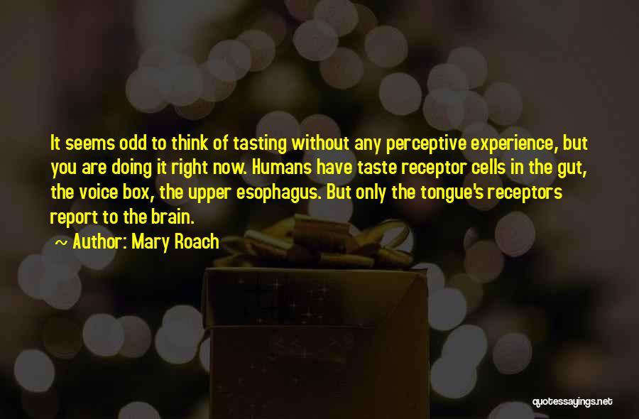 Voice Of Experience Quotes By Mary Roach