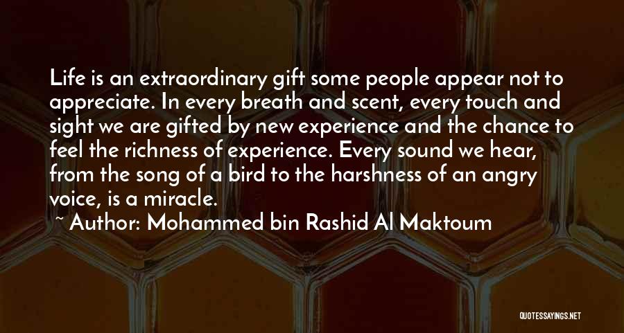 Voice Of Experience Quotes By Mohammed Bin Rashid Al Maktoum