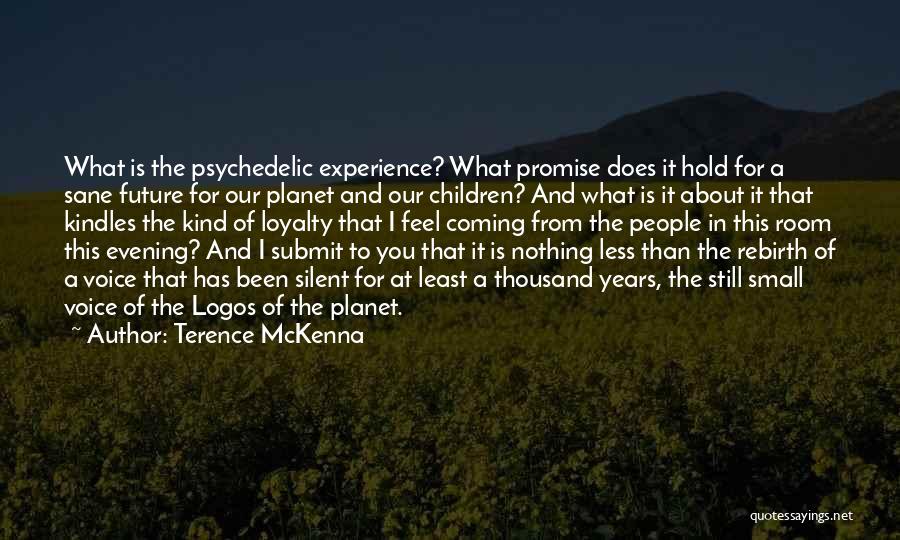 Voice Of Experience Quotes By Terence McKenna