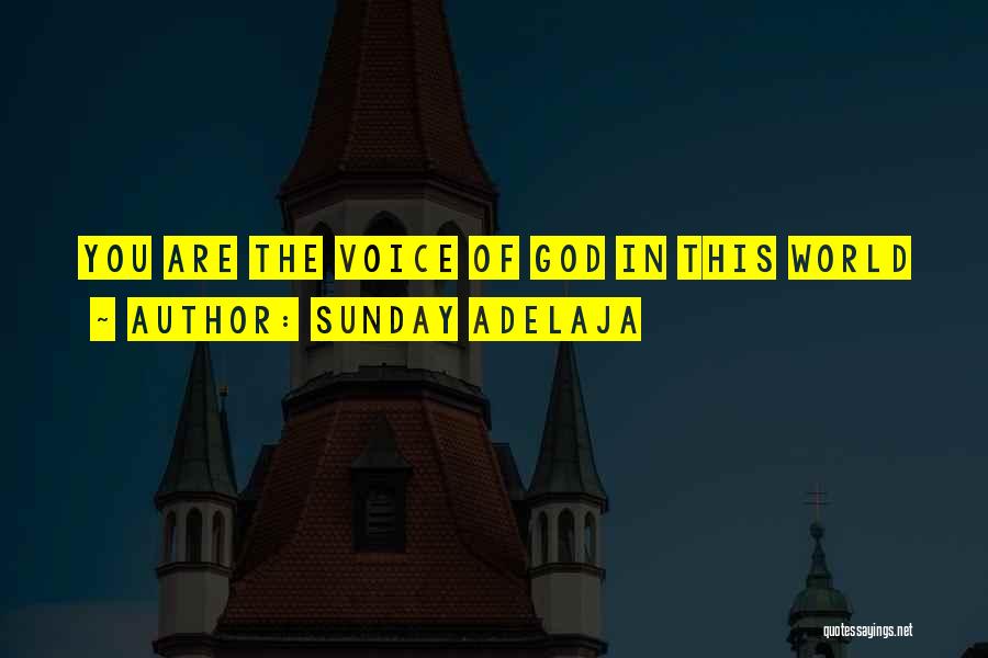 Voice Of God Quotes By Sunday Adelaja