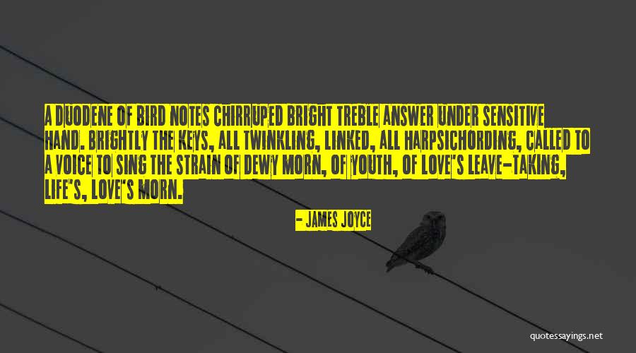 Voice Of Youth Quotes By James Joyce Voice Of Youth Quotes By James Joyce