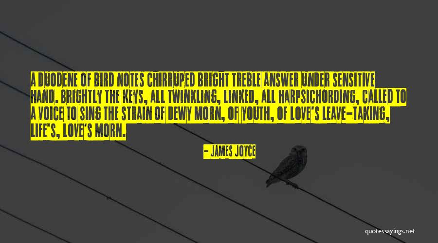 Voice Of Youth Quotes By James Joyce