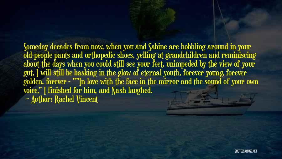 Voice Of Youth Quotes By Rachel Vincent