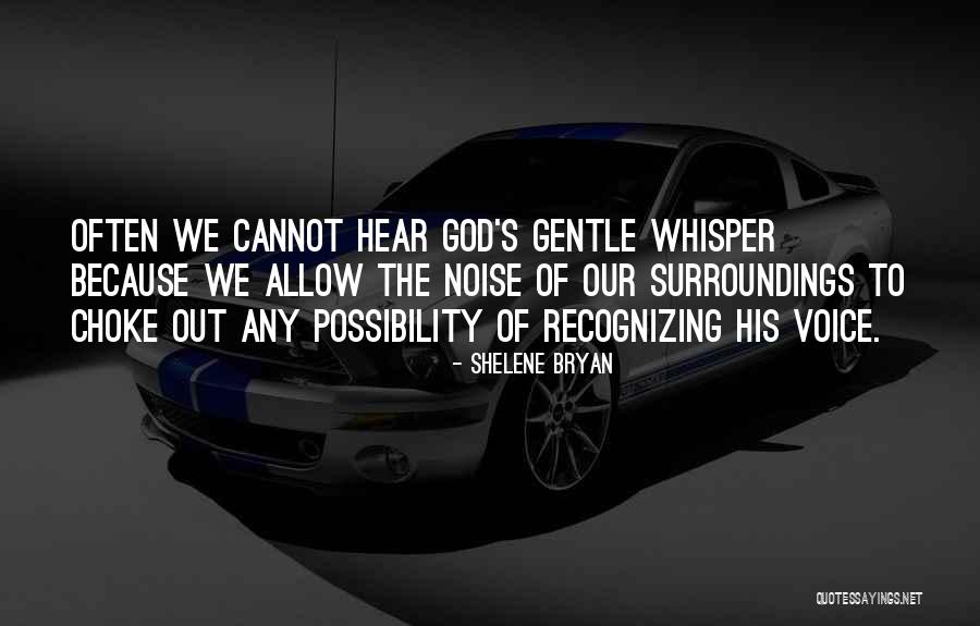 Voice Or Noise Quotes By Shelene Bryan Voice Or Noise Quotes By Shelene Bryan