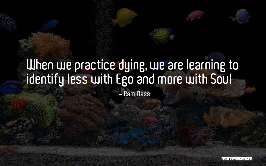 Voice Thermometer Quotes By Ram Dass Voice Thermometer Quotes By Ram Dass