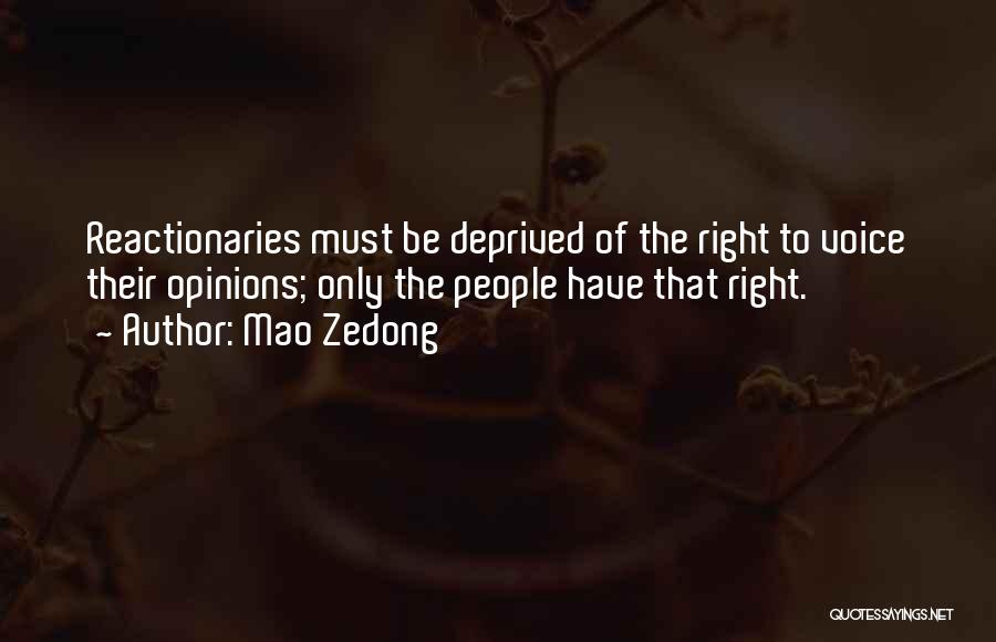 Voice Your Opinion Quotes By Mao Zedong