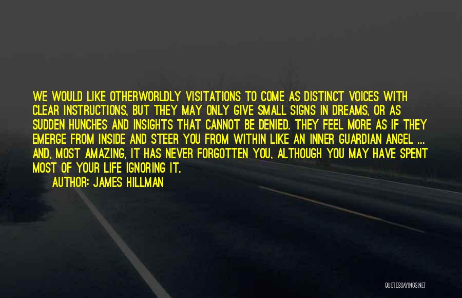 Voices From Within Quotes By James Hillman