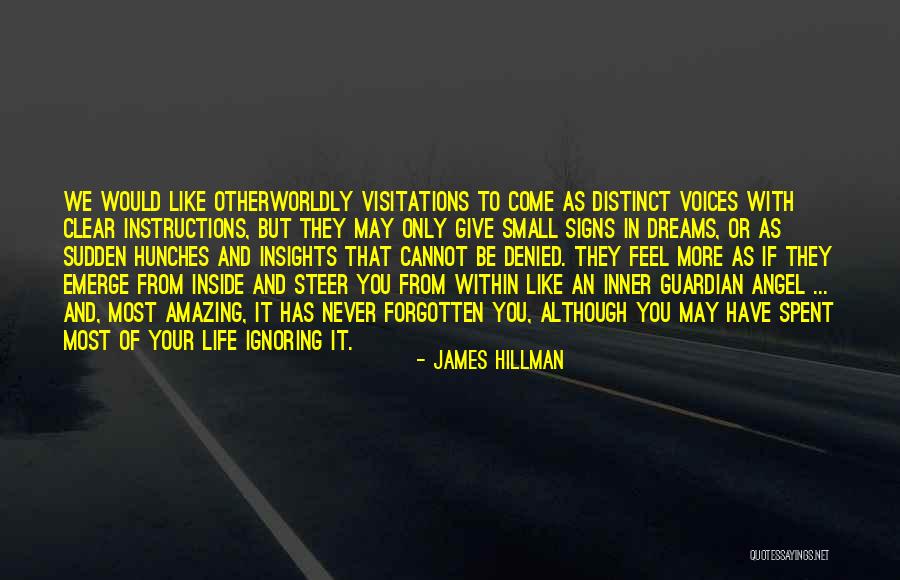 Voices From Within Quotes By James Hillman