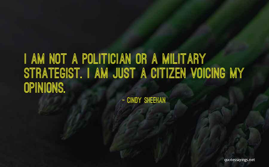 Voicing Your Opinions Quotes By Cindy Sheehan