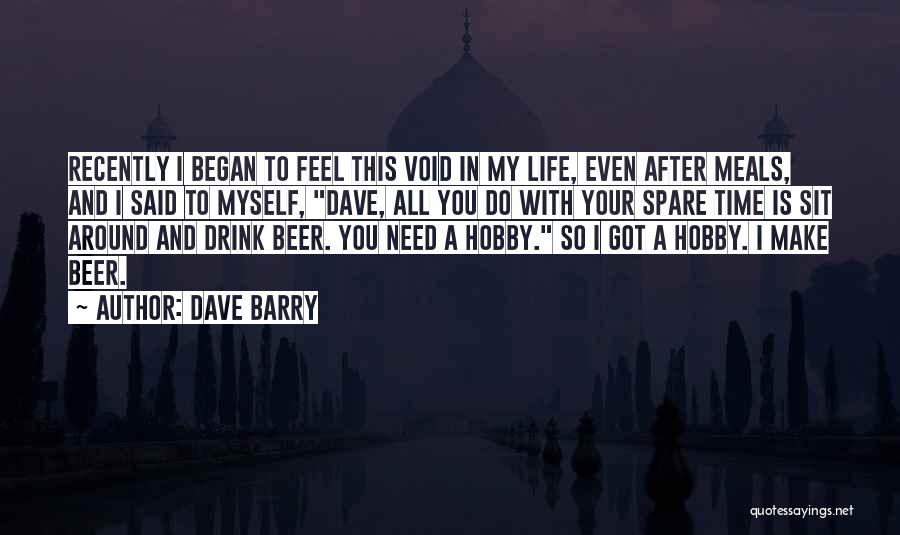 Void In My Life Quotes By Dave Barry