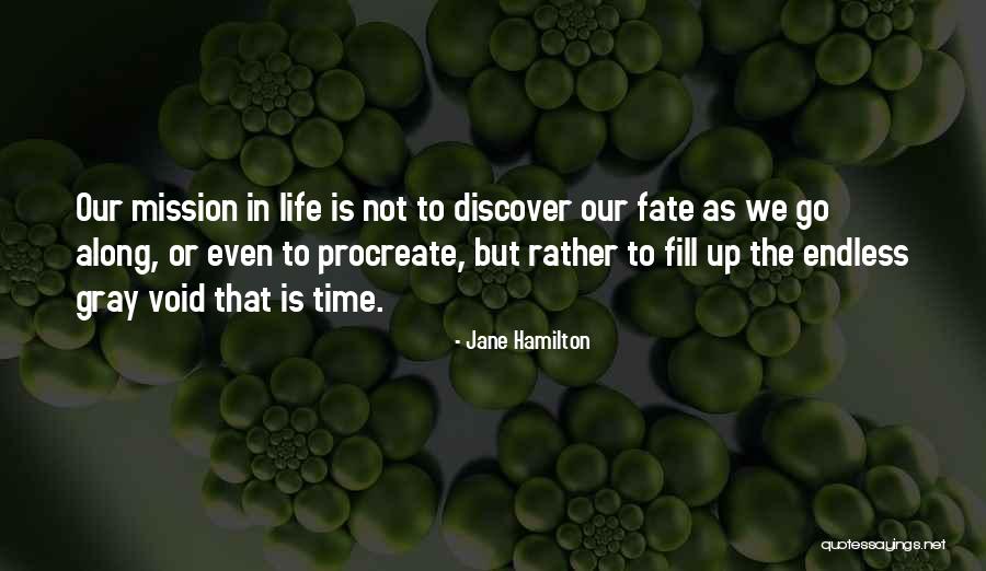 Void Life Quotes By Jane Hamilton