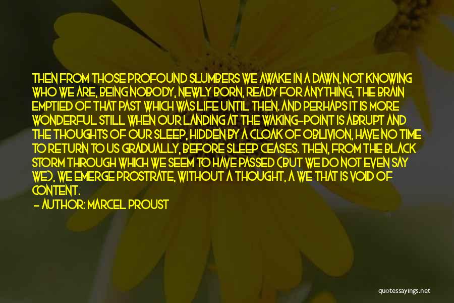 Void Life Quotes By Marcel Proust