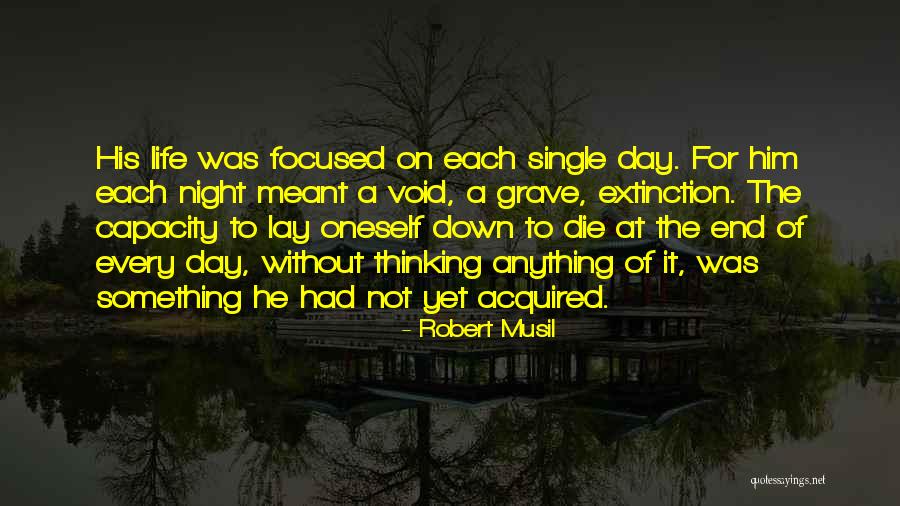 Void Life Quotes By Robert Musil