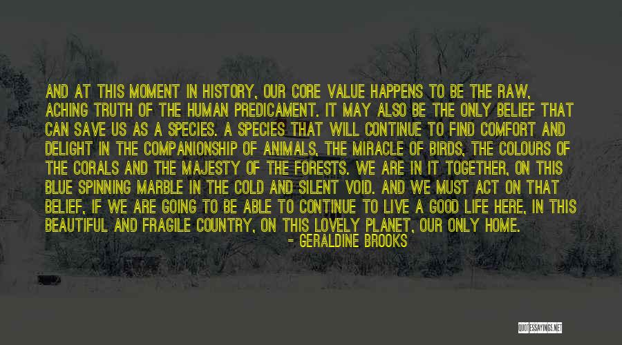 Void Of Truth Quotes By Geraldine Brooks Void Of Truth Quotes By Geraldine Brooks