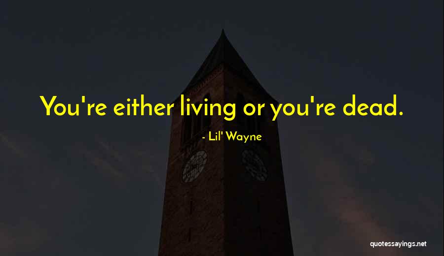 Voiding Trial With Foley Quotes By Lil' Wayne Voiding Trial With Foley Quotes By Lil' Wayne