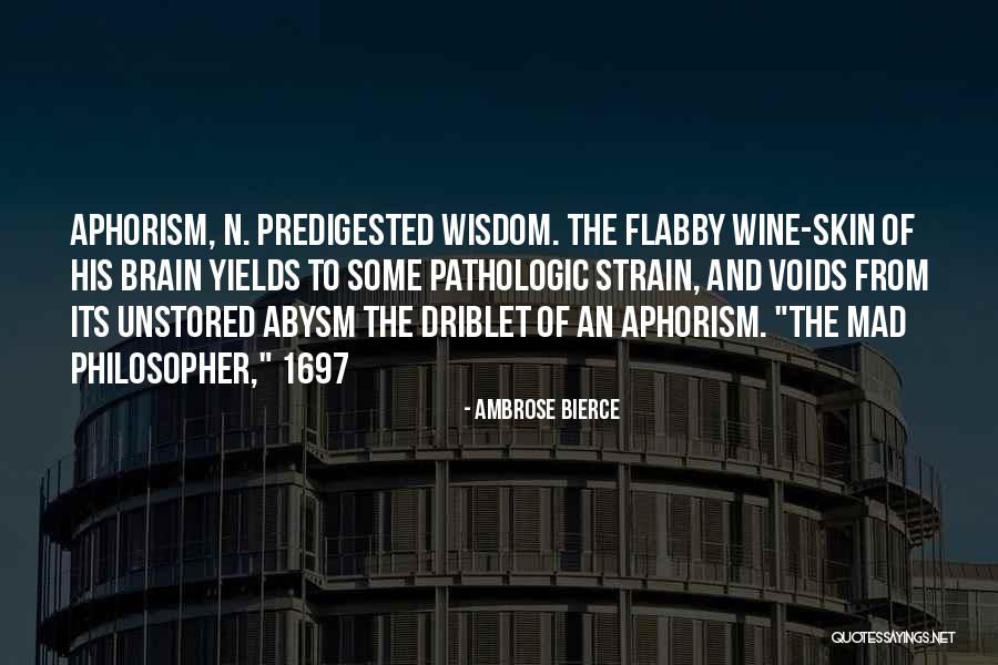 Voids Quotes By Ambrose Bierce Voids Quotes By Ambrose Bierce