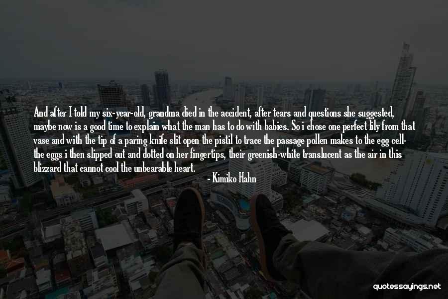 Voigtlander Quotes By Kimiko Hahn Voigtlander Quotes By Kimiko Hahn