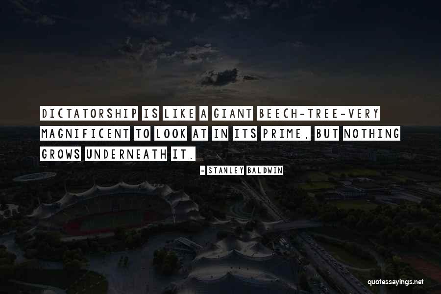 Voitto Kotti Quotes By Stanley Baldwin Voitto Kotti Quotes By Stanley Baldwin