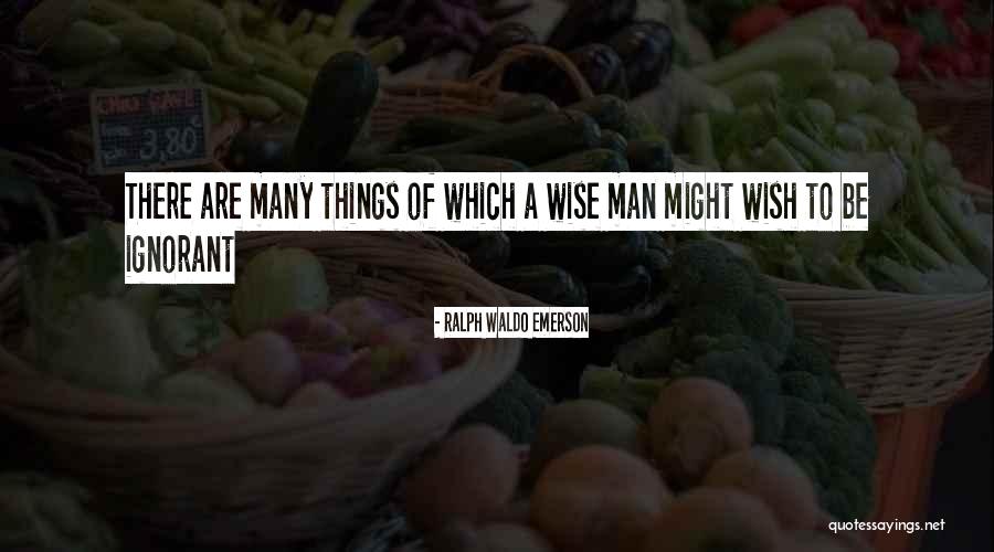 Vojkovici Quotes By Ralph Waldo Emerson Vojkovici Quotes By Ralph Waldo Emerson