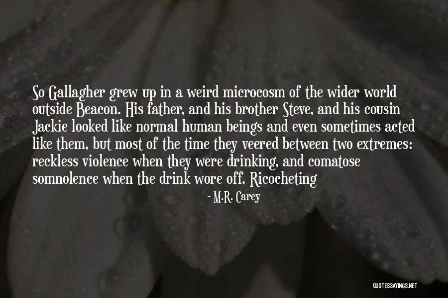Volara Foam Quotes By M.R. Carey Volara Foam Quotes By M.R. Carey