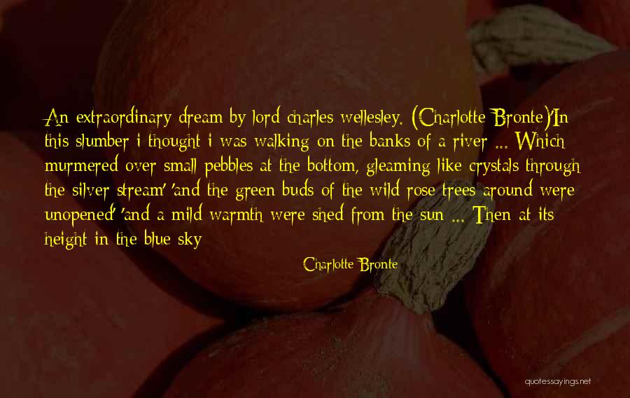 Volatiles In Magma Quotes By Charlotte Bronte Volatiles In Magma Quotes By Charlotte Bronte