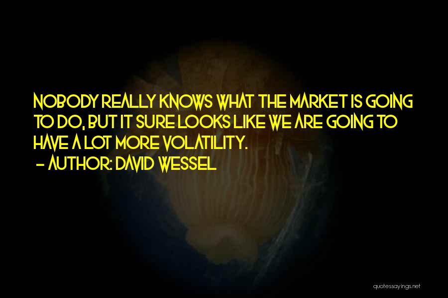 Volatility Quotes By David Wessel