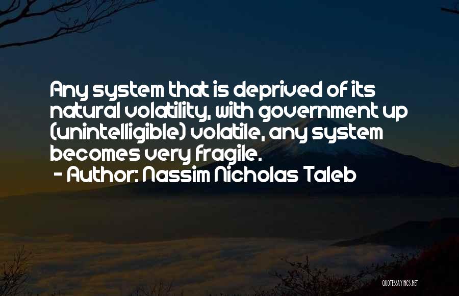 Volatility Quotes By Nassim Nicholas Taleb