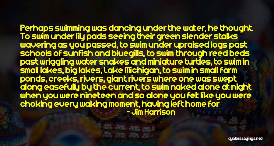 Volcada En Quotes By Jim Harrison Volcada En Quotes By Jim Harrison