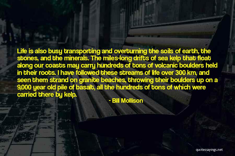 Volcanic Quotes By Bill Mollison Volcanic Quotes By Bill Mollison