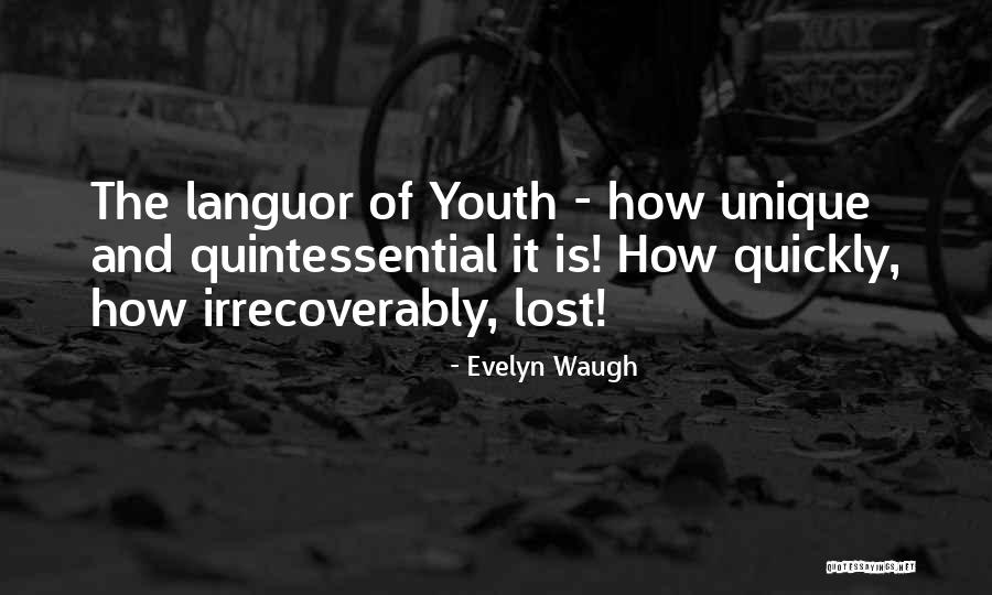 Volcheck From The Oc Quotes By Evelyn Waugh Volcheck From The Oc Quotes By Evelyn Waugh