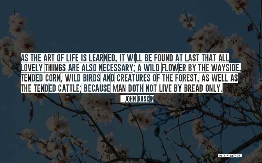 Volkonsky Geni Quotes By John Ruskin Volkonsky Geni Quotes By John Ruskin