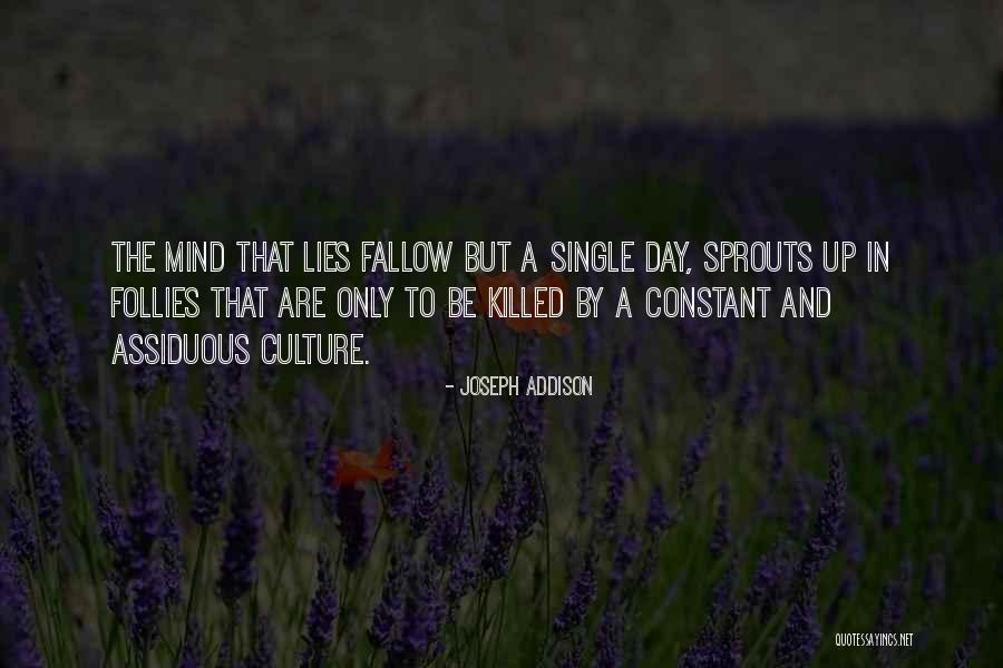 Vollenden Phoenix Quotes By Joseph Addison Vollenden Phoenix Quotes By Joseph Addison