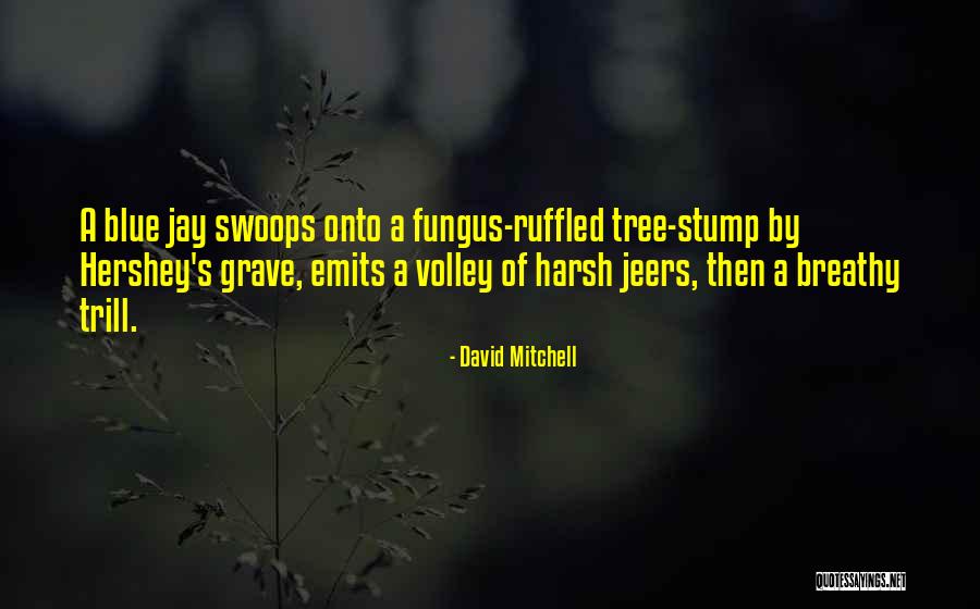Volley Quotes By David Mitchell Volley Quotes By David Mitchell