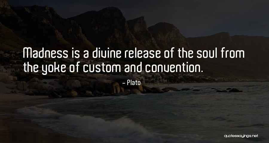 Volleyball Digging Quotes By Plato Volleyball Digging Quotes By Plato