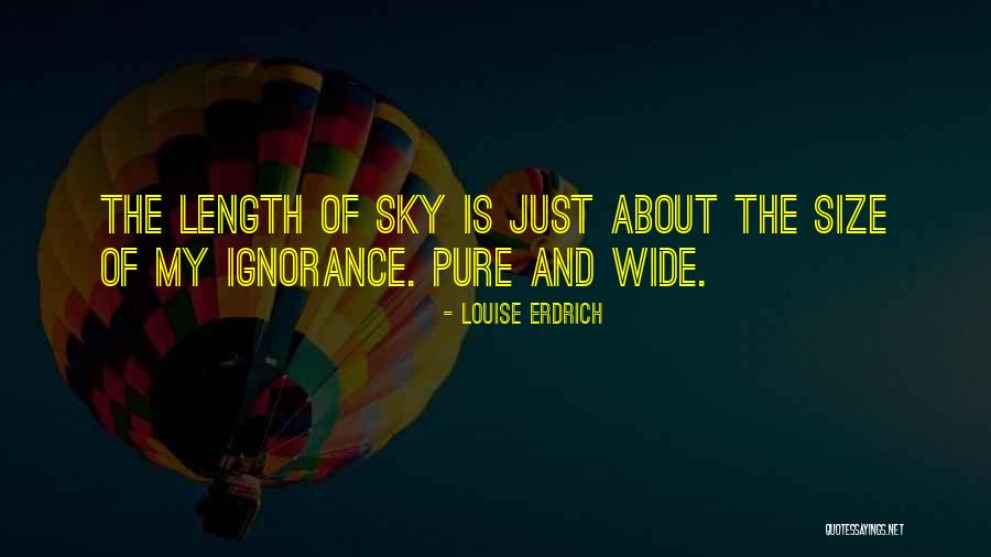Volleyball Passer Quotes By Louise Erdrich