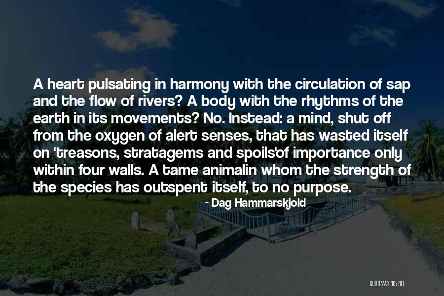 Volmari Iso Hollo Quotes By Dag Hammarskjold Volmari Iso Hollo Quotes By Dag Hammarskjold