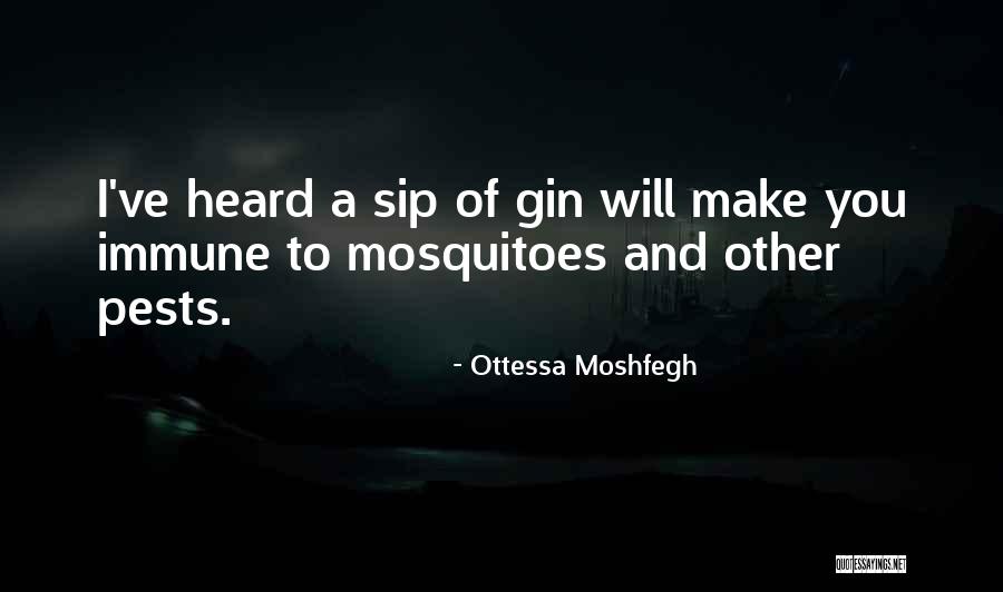 Volodarsky Quotes By Ottessa Moshfegh Volodarsky Quotes By Ottessa Moshfegh