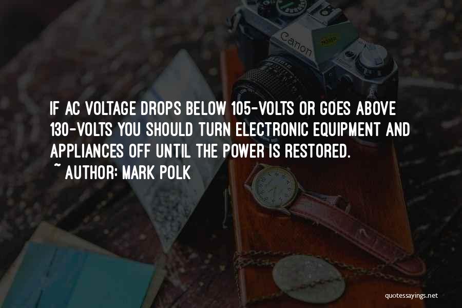 Voltage Inc Quotes By Mark Polk