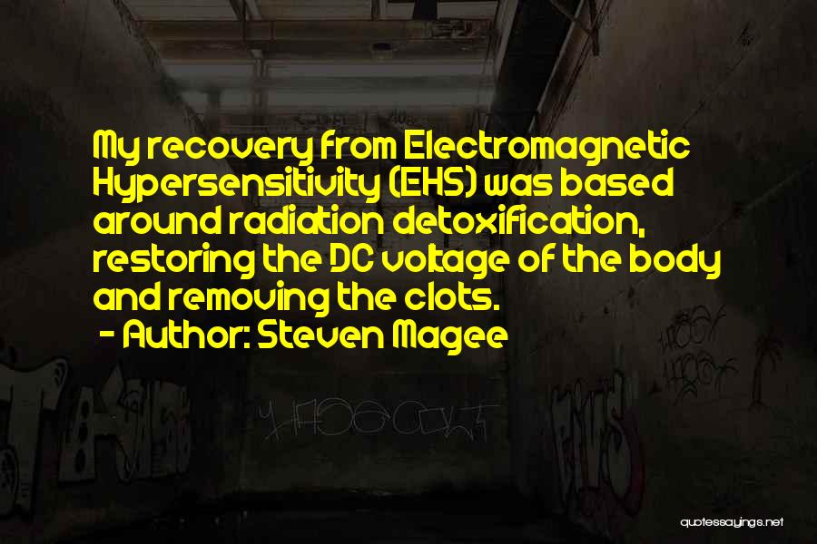 Voltage Quotes By Steven Magee