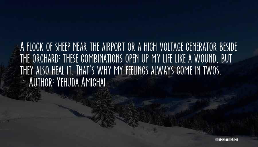 Voltage Quotes By Yehuda Amichai