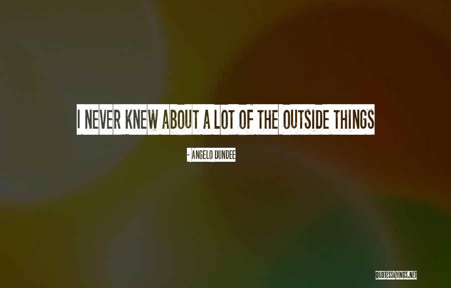 Voltages In Series Quotes By Angelo Dundee Voltages In Series Quotes By Angelo Dundee