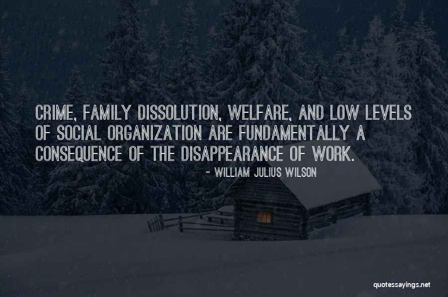 Voltaic Solar Quotes By William Julius Wilson Voltaic Solar Quotes By William Julius Wilson