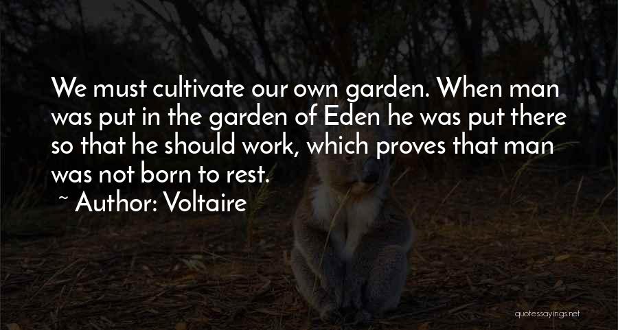 Voltaire Quotes 129527