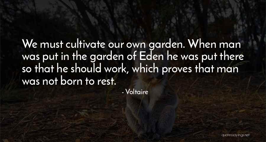 Voltaire Quotes 129527 Voltaire Quotes 129527
