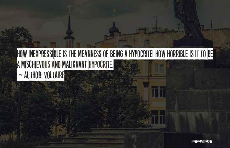 Voltaire Quotes 1753305