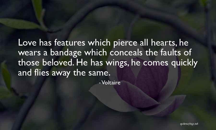 Voltaire Quotes 2013609 Voltaire Quotes 2013609