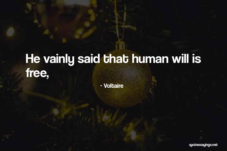 Voltaire Quotes 748359